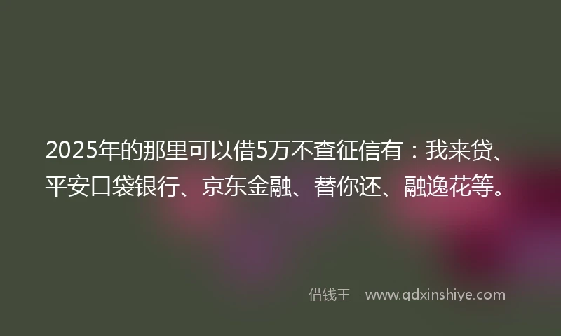 2025年的那里可以借5万不查征信有：我来贷、平安口袋银行、京东金融、替你还、融逸花等。