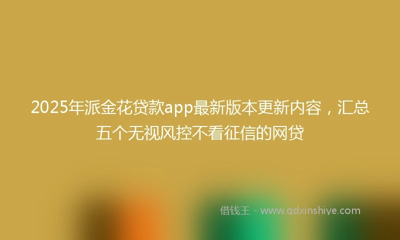 2025年派金花贷款app最新版本更新内容，汇总五个无视风控不看征信的网贷