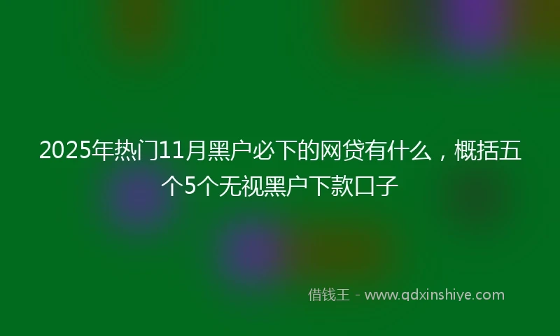 2025年热门11月黑户必下的网贷有什么，概括五个5个无视黑户下款口子