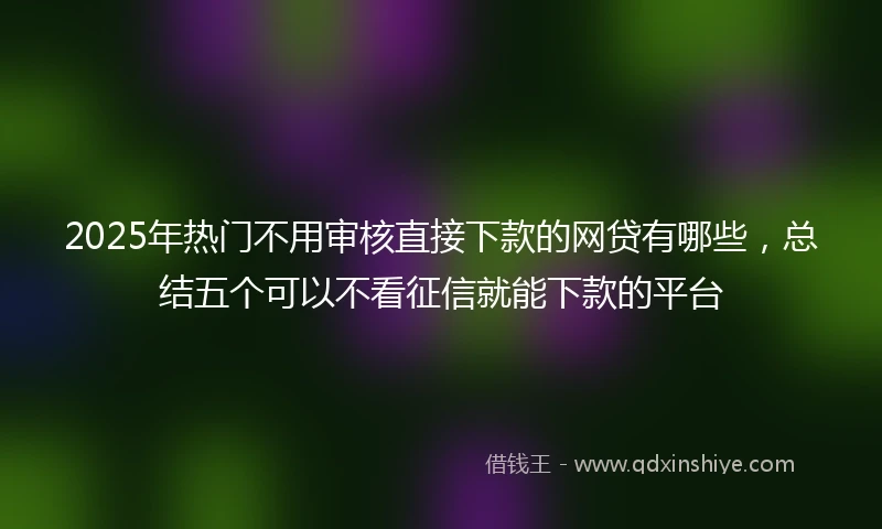 2025年热门不用审核直接下款的网贷有哪些，总结五个可以不看征信就能下款的平台