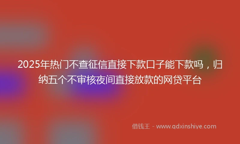 2025年热门不查征信直接下款口子能下款吗,归纳五个不审核夜间直接放款的网贷平台