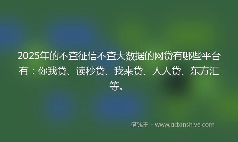 2025年的不查征信不查大数据的网贷有哪些平台有:你我贷、读秒贷、我来贷、人人贷、东方汇等。