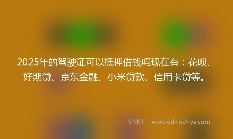 2025年的驾驶证可以抵押借钱吗现在有：花呗、好期贷、京东金融、小米贷款、信用卡贷等。