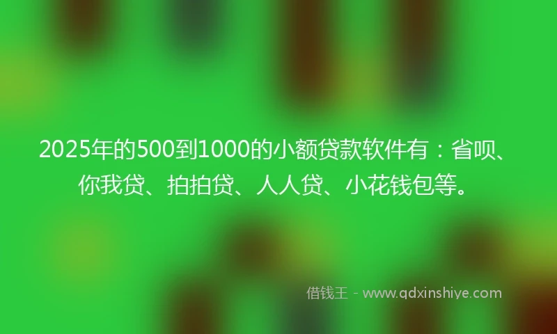 2025年的500到1000的小额贷款软件有:省呗、你我贷、拍拍贷、人人贷、小花钱包等。