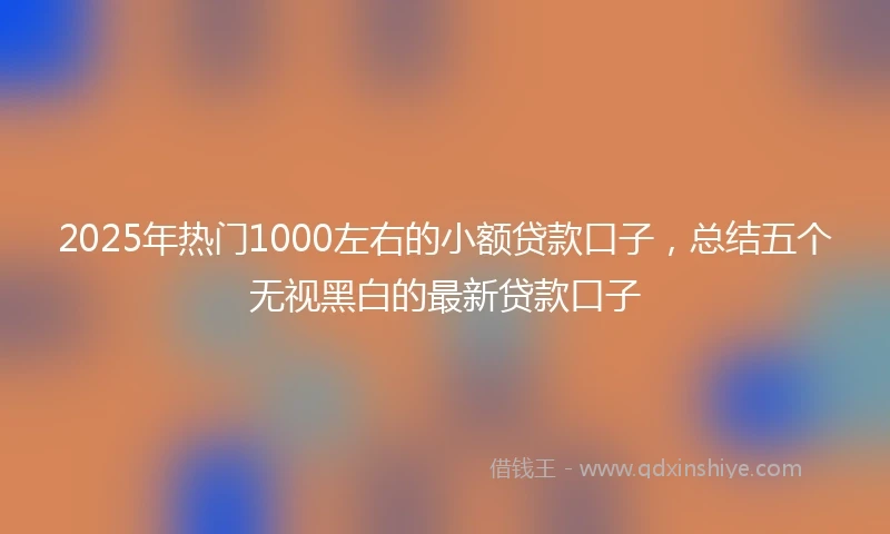 2025年热门1000左右的小额贷款口子,总结五个无视黑白的最新贷款口子