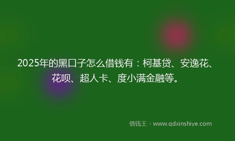 2025年的黑口子怎么借钱有：柯基贷、安逸花、花呗、超人卡、度小满金融等。