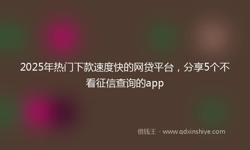 2025年热门下款速度快的网贷平台，分享5个不看征信查询的app