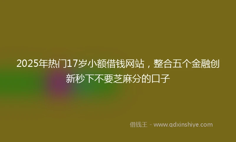 2025年热门17岁小额借钱网站，整合五个金融创新秒下不要芝麻分的口子