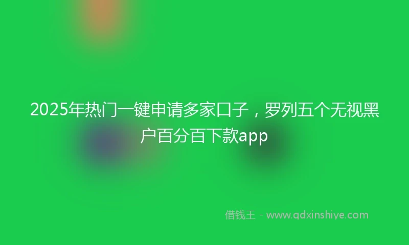 2025年热门一键申请多家口子，罗列五个无视黑户百分百下款app