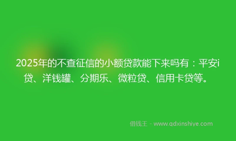 2025年的不查征信的小额贷款能下来吗有：平安i贷、洋钱罐、分期乐、微粒贷、信用卡贷等。