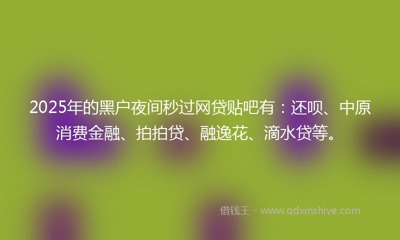 2025年的黑户夜间秒过网贷贴吧有：还呗、中原消费金融、拍拍贷、融逸花、滴水贷等。