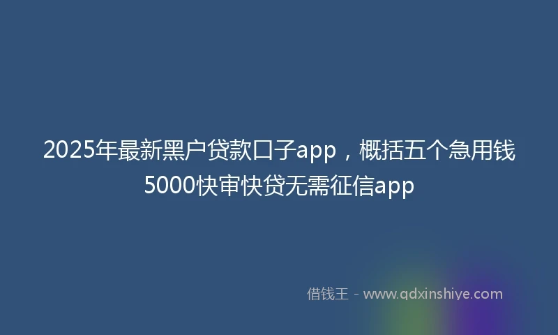 2025年最新黑户贷款口子app，概括五个急用钱5000快审快贷无需征信app