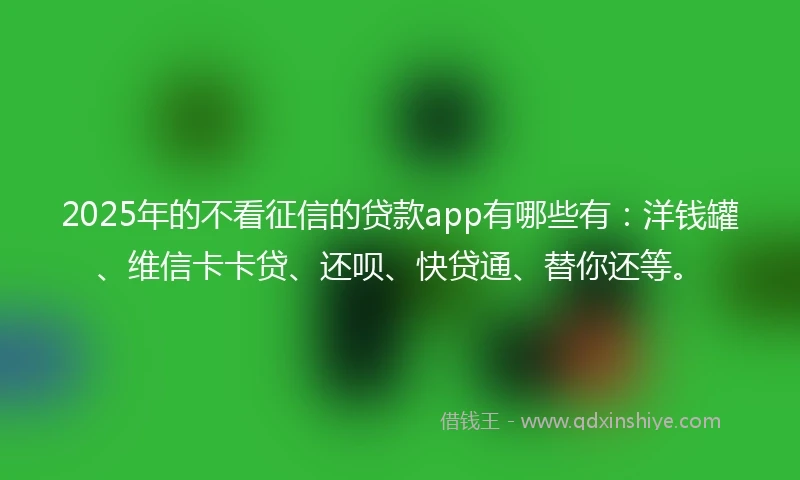 2025年的不看征信的贷款app有哪些有：洋钱罐、维信卡卡贷、还呗、快贷通、替你还等。