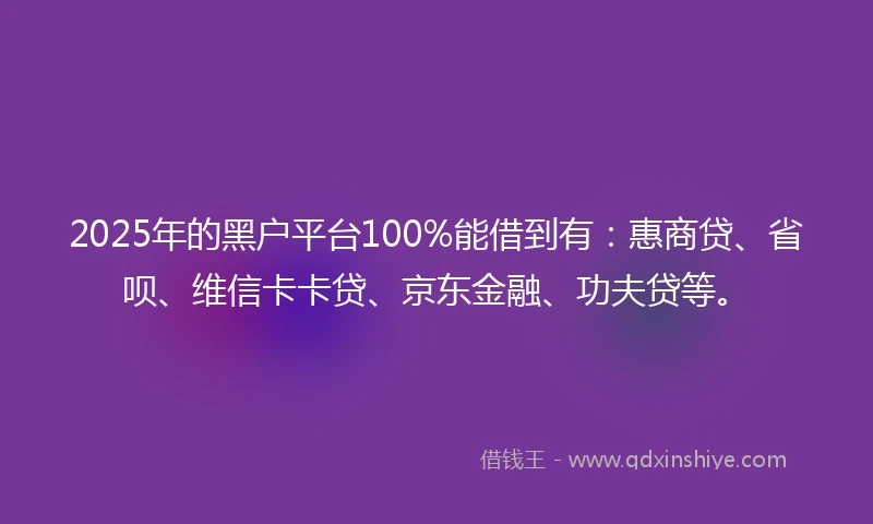 2025年的黑户平台100%能借到有：惠商贷、省呗、维信卡卡贷、京东金融、功夫贷等。