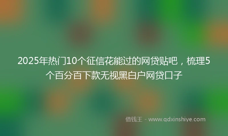 2025年热门10个征信花能过的网贷贴吧，梳理5个百分百下款无视黑白户网贷口子