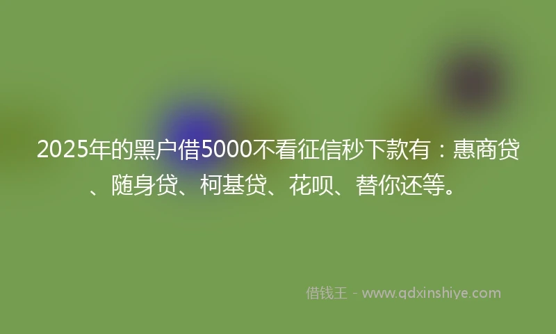 2025年的黑户借5000不看征信秒下款有：惠商贷、随身贷、柯基贷、花呗、替你还等。