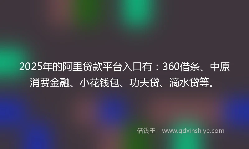 2025年的阿里贷款平台入口有：360借条、中原消费金融、小花钱包、功夫贷、滴水贷等。