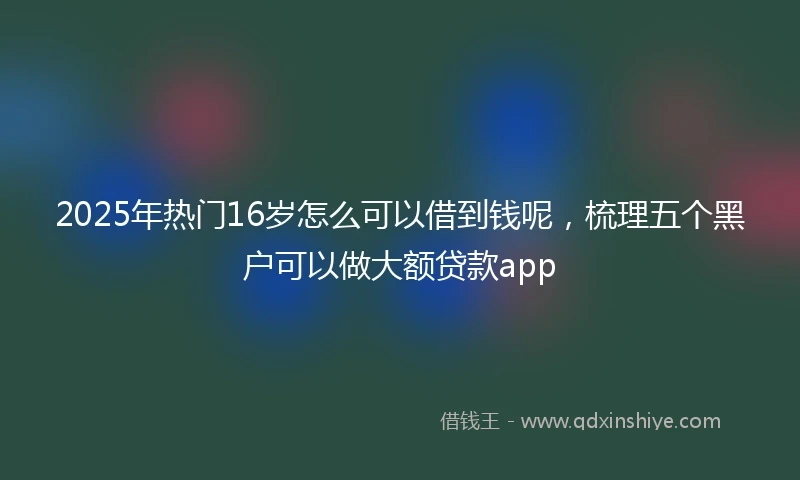 2025年热门16岁怎么可以借到钱呢，梳理五个黑户可以做大额贷款app