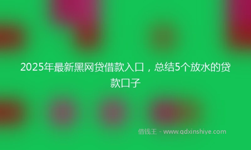 2025年最新黑网贷借款入口，总结5个放水的贷款口子