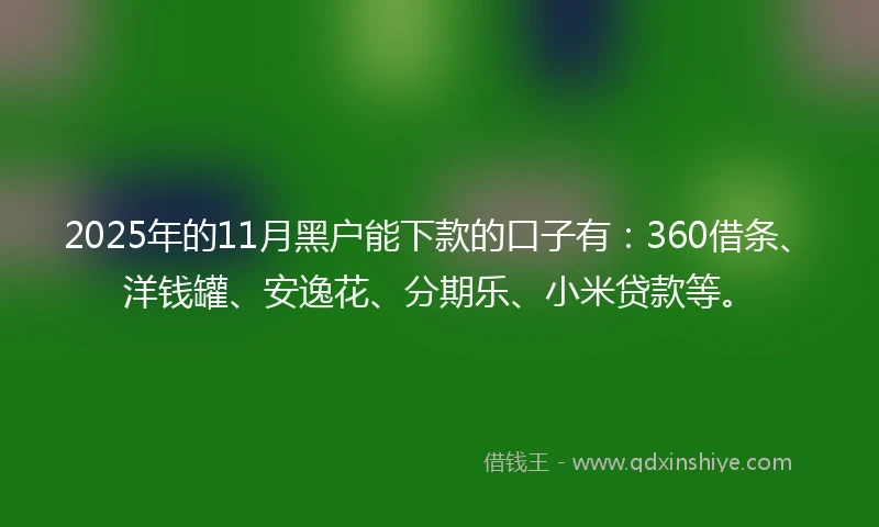 2025年的11月黑户能下款的口子有：360借条、洋钱罐、安逸花、分期乐、小米贷款等。