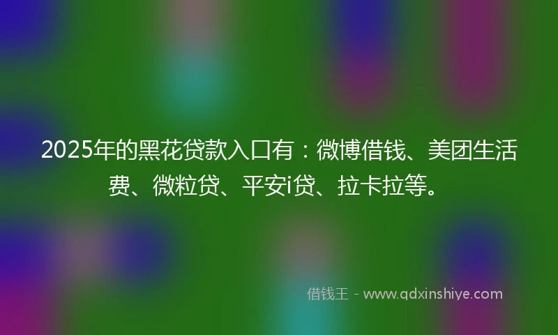 2025年的黑花贷款入口有：微博借钱、美团生活费、微粒贷、平安i贷、拉卡拉等。