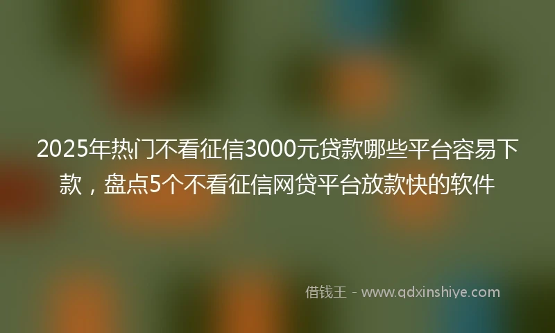 2025年热门不看征信3000元贷款哪些平台容易下款，盘点5个不看征信网贷平台放款快的软件