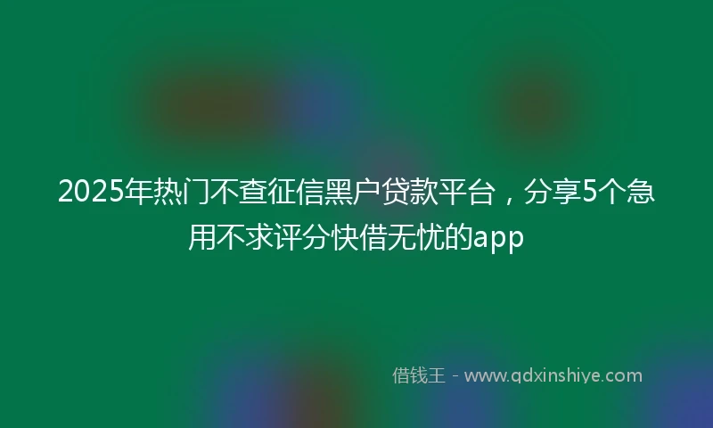 2025年热门不查征信黑户贷款平台，分享5个急用不求评分快借无忧的app