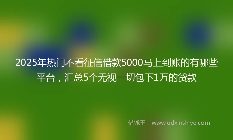 2025年热门不看征信借款5000马上到账的有哪些平台，汇总5个无视一切包下1万的贷款
