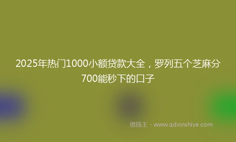 2025年热门1000小额贷款大全，罗列五个芝麻分700能秒下的口子