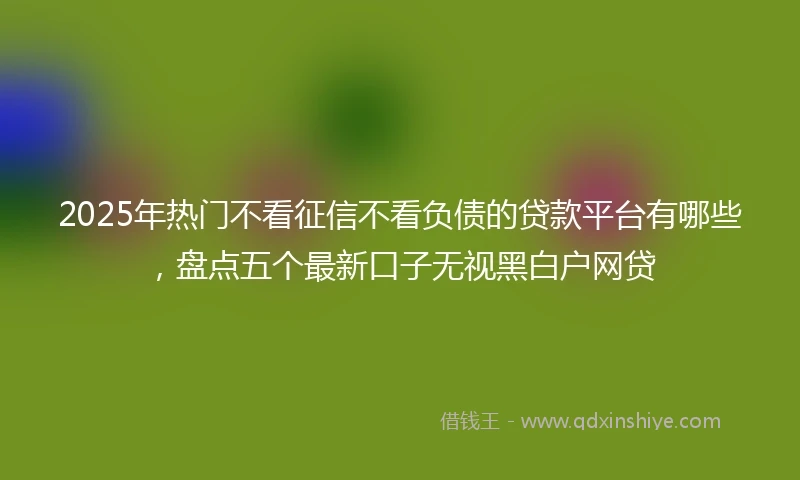 2025年热门不看征信不看负债的贷款平台有哪些，盘点五个最新口子无视黑白户网贷