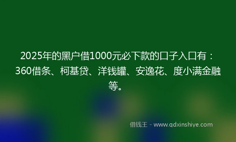 2025年的黑户借1000元必下款的口子入口有：360借条、柯基贷、洋钱罐、安逸花、度小满金融等。