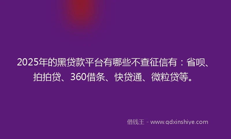 2025年的黑贷款平台有哪些不查征信有：省呗、拍拍贷、360借条、快贷通、微粒贷等。