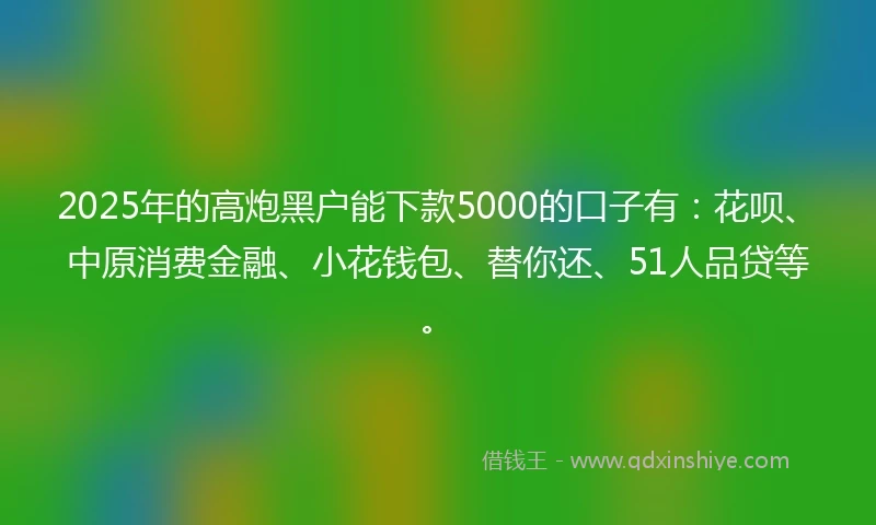 2025年的高炮黑户能下款5000的口子有：花呗、中原消费金融、小花钱包、替你还、51人品贷等。