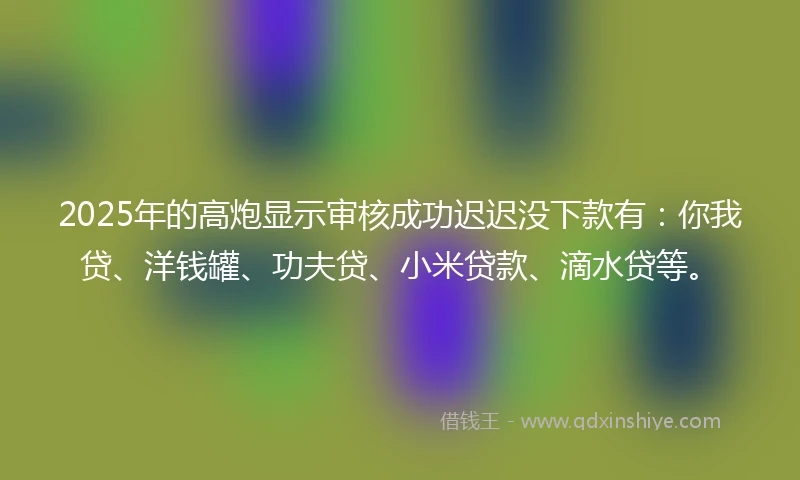 2025年的高炮显示审核成功迟迟没下款有：你我贷、洋钱罐、功夫贷、小米贷款、滴水贷等。