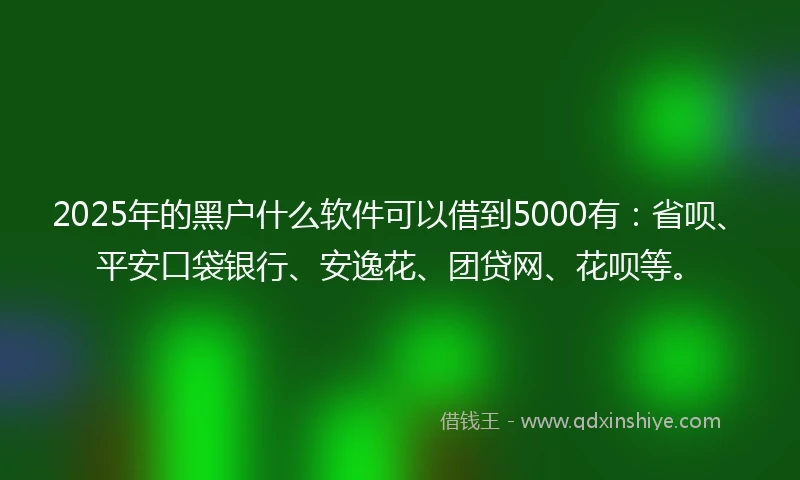 2025年的黑户什么软件可以借到5000有:省呗、平安口袋银行、安逸花、团贷网、花呗等。