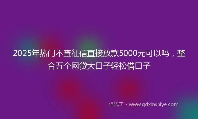 2025年热门不查征信直接放款5000元可以吗，整合五个网贷大口子轻松借口子