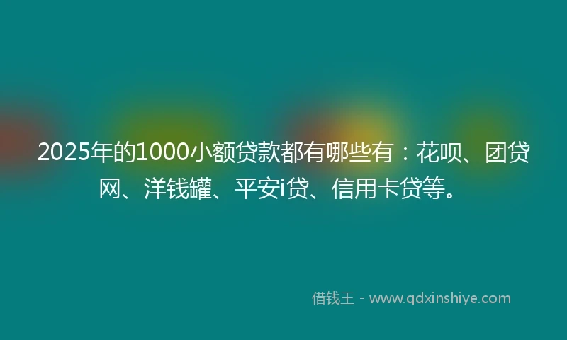 2025年的1000小额贷款都有哪些有：花呗、团贷网、洋钱罐、平安i贷、信用卡贷等。