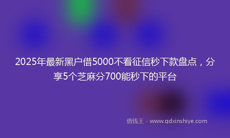 2025年最新黑户借5000不看征信秒下款盘点，分享5个芝麻分700能秒下的平台