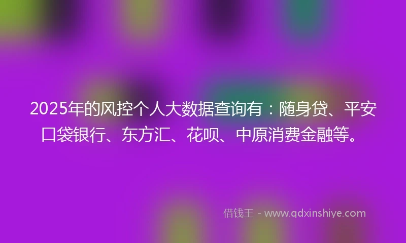 2025年的风控个人大数据查询有：随身贷、平安口袋银行、东方汇、花呗、中原消费金融等。