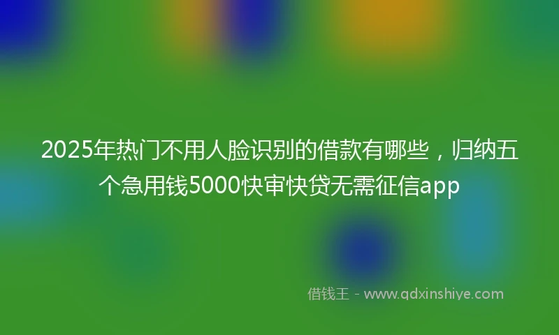2025年热门不用人脸识别的借款有哪些，归纳五个急用钱5000快审快贷无需征信app