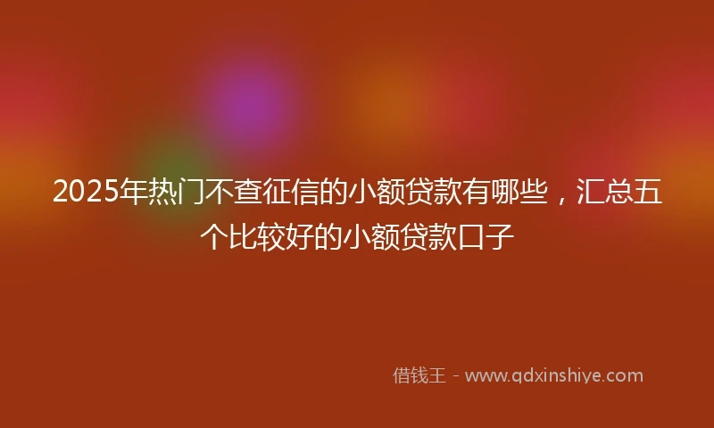 2025年热门不查征信的小额贷款有哪些，汇总五个比较好的小额贷款口子