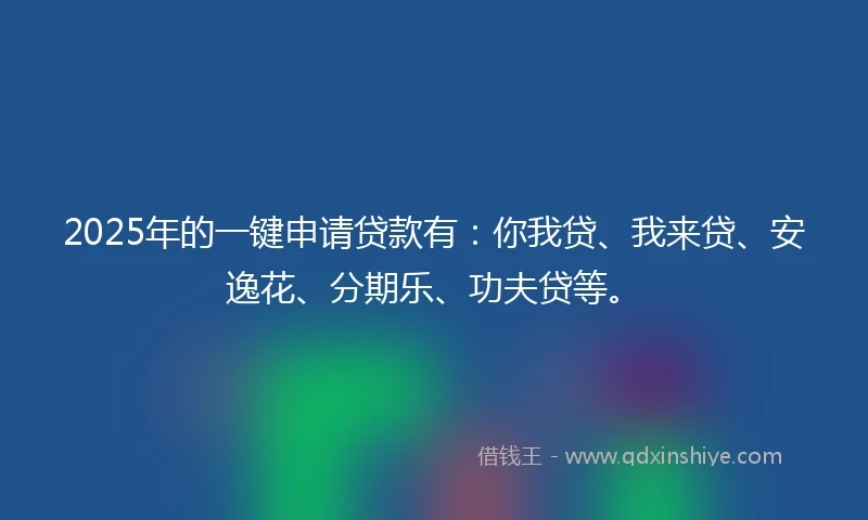 2025年的一键申请贷款有：你我贷、我来贷、安逸花、分期乐、功夫贷等。