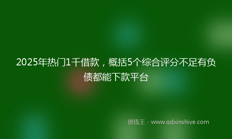 2025年热门1千借款，概括5个综合评分不足有负债都能下款平台