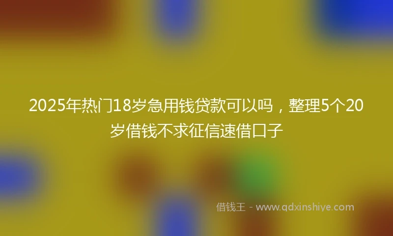 2025年热门18岁急用钱贷款可以吗,整理5个20岁借钱不求征信速借口子