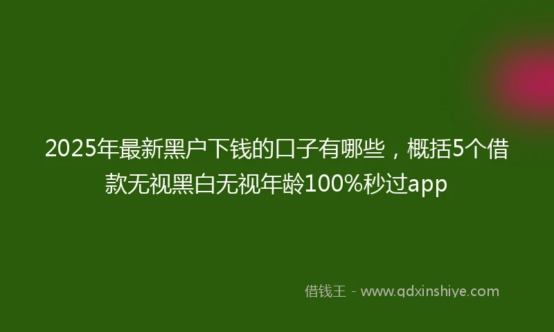 2025年最新黑户下钱的口子有哪些,概括5个借款无视黑白无视年龄100%秒过app