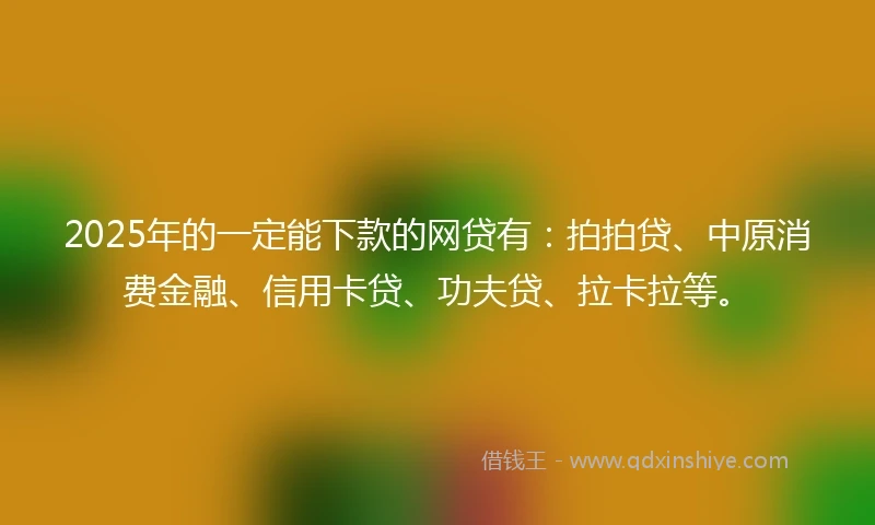 2025年的一定能下款的网贷有：拍拍贷、中原消费金融、信用卡贷、功夫贷、拉卡拉等。