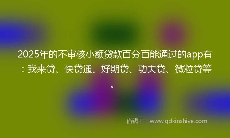 2025年的不审核小额贷款百分百能通过的app有：我来贷、快贷通、好期贷、功夫贷、微粒贷等。