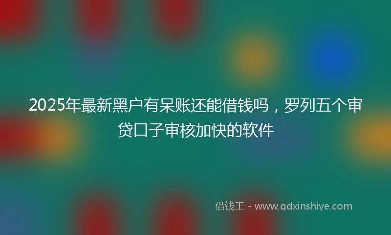 2025年最新黑户有呆账还能借钱吗，罗列五个审贷口子审核加快的软件