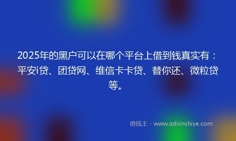 2025年的黑户可以在哪个平台上借到钱真实有：平安i贷、团贷网、维信卡卡贷、替你还、微粒贷等。