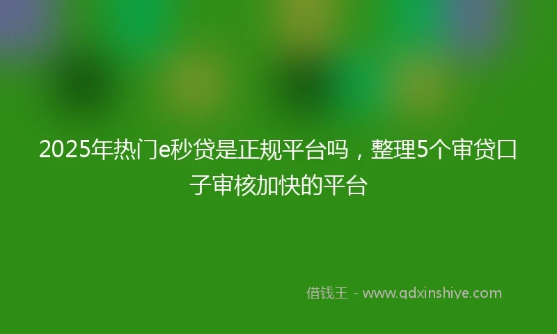 2025年热门e秒贷是正规平台吗，整理5个审贷口子审核加快的平台